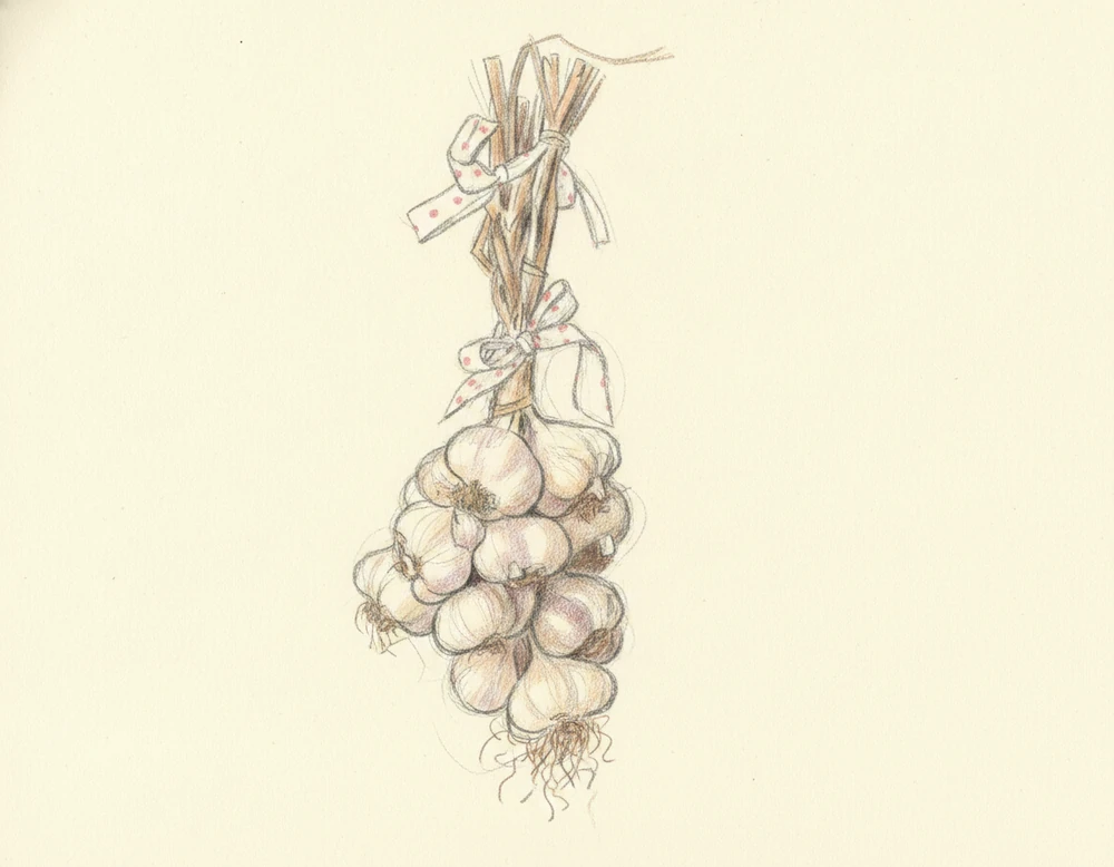 Aglio Antico dell'Ufita