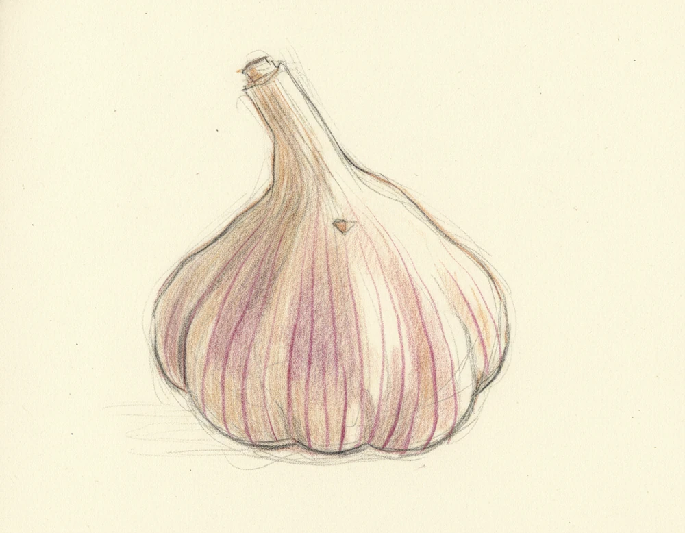 Aglio Storico di Caraglio