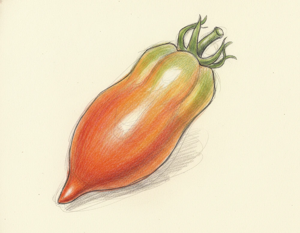Antichi Pomodori di Napoli