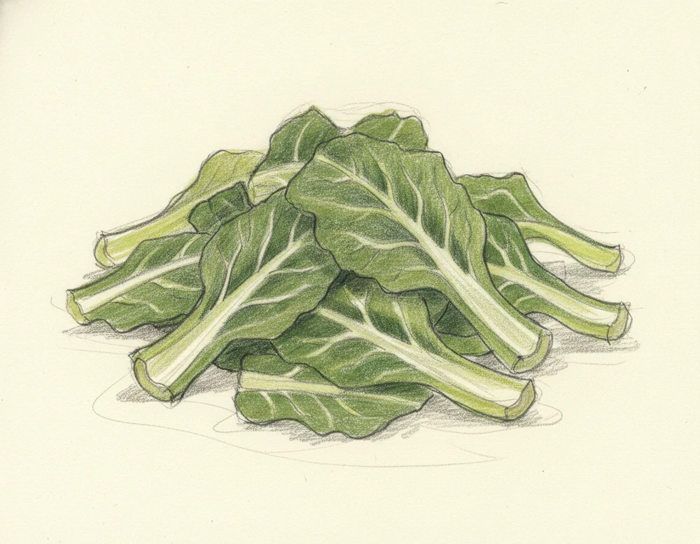 Cavolo Vecchio di Rosolini