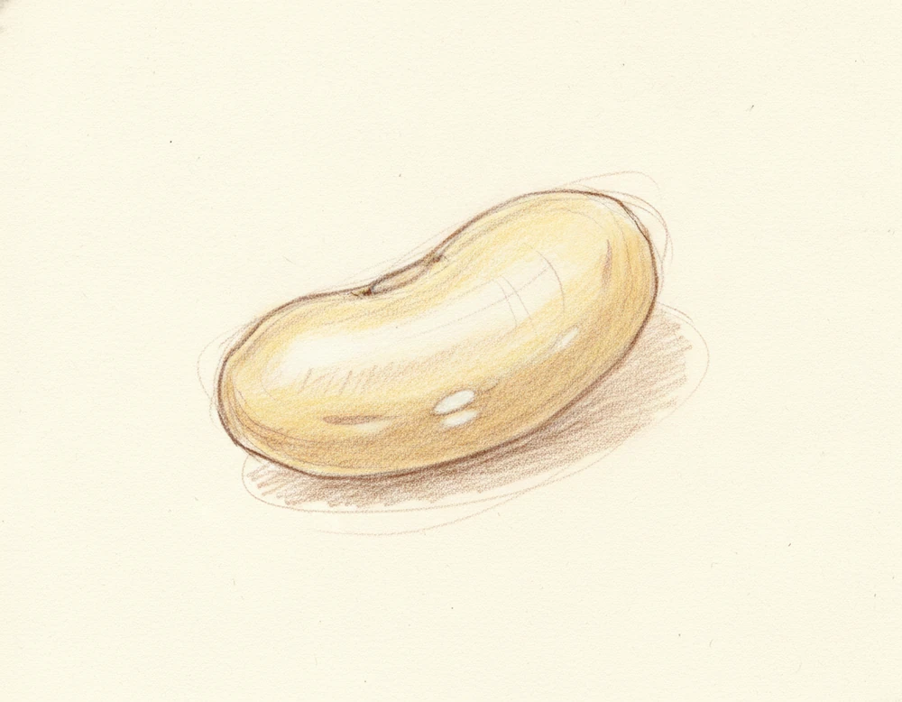 Fagiolo Gialèt della Val Belluna
