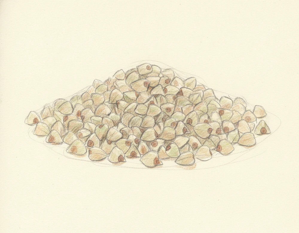 Grano Saraceno della Valnerina