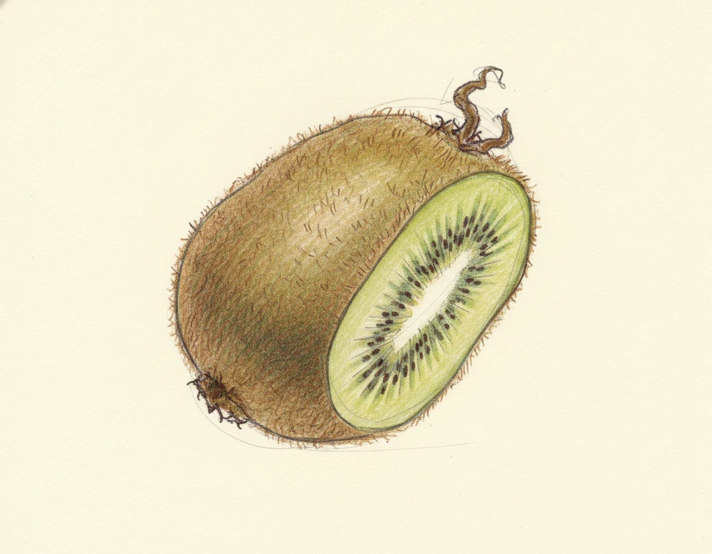 Kiwi Latina IGP