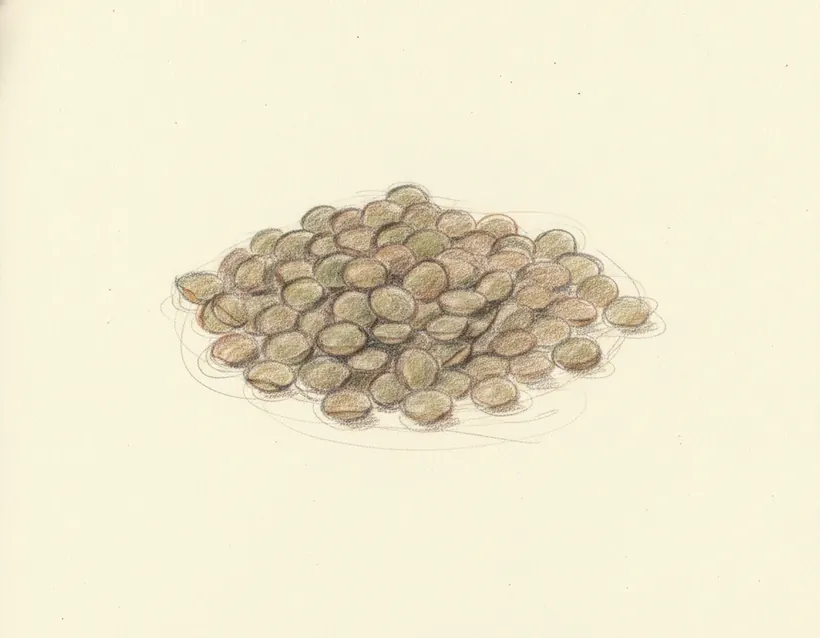 Lenticchia di Capracotta