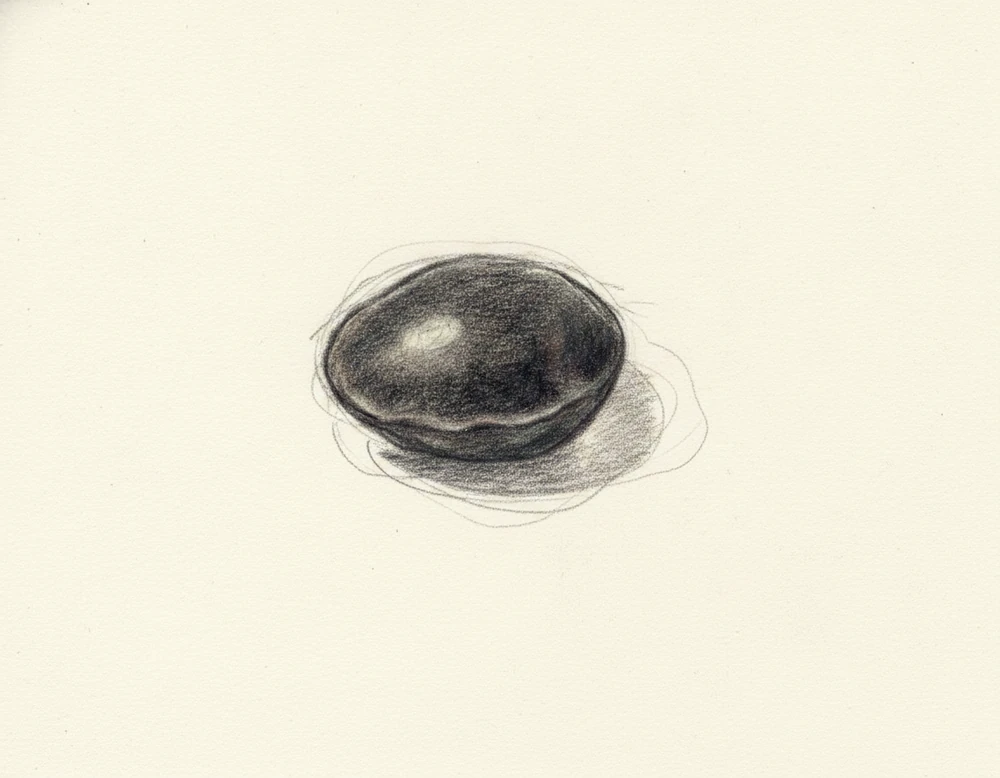 Lenticchia Nera delle Colline Ennesi