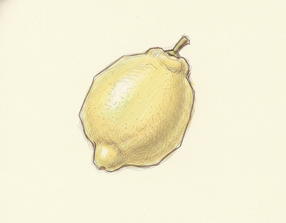 Limone Femminello del Gargano IGP