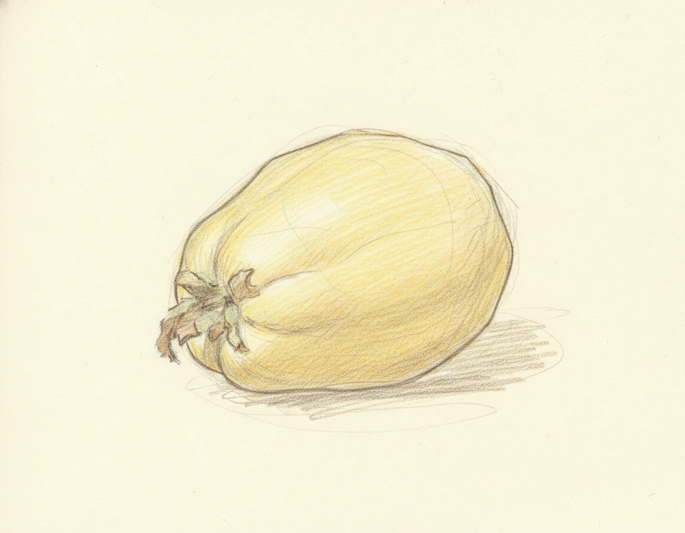 Melone Cartucciaru di Paceco