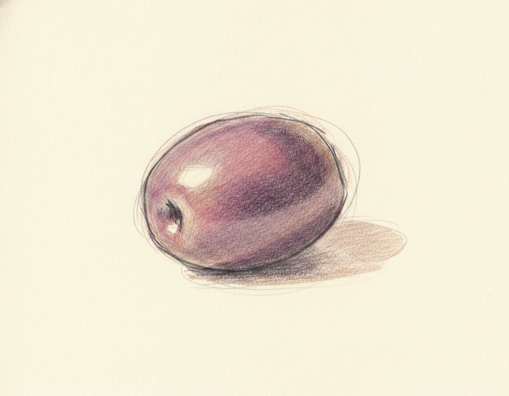 Oliva di Gaeta DOP