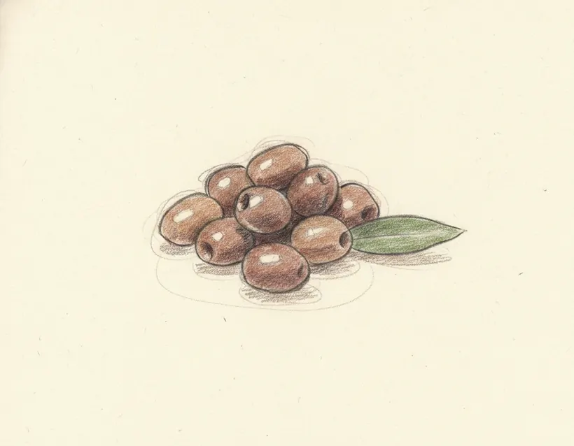 Olive Taggiasche Liguri IGP