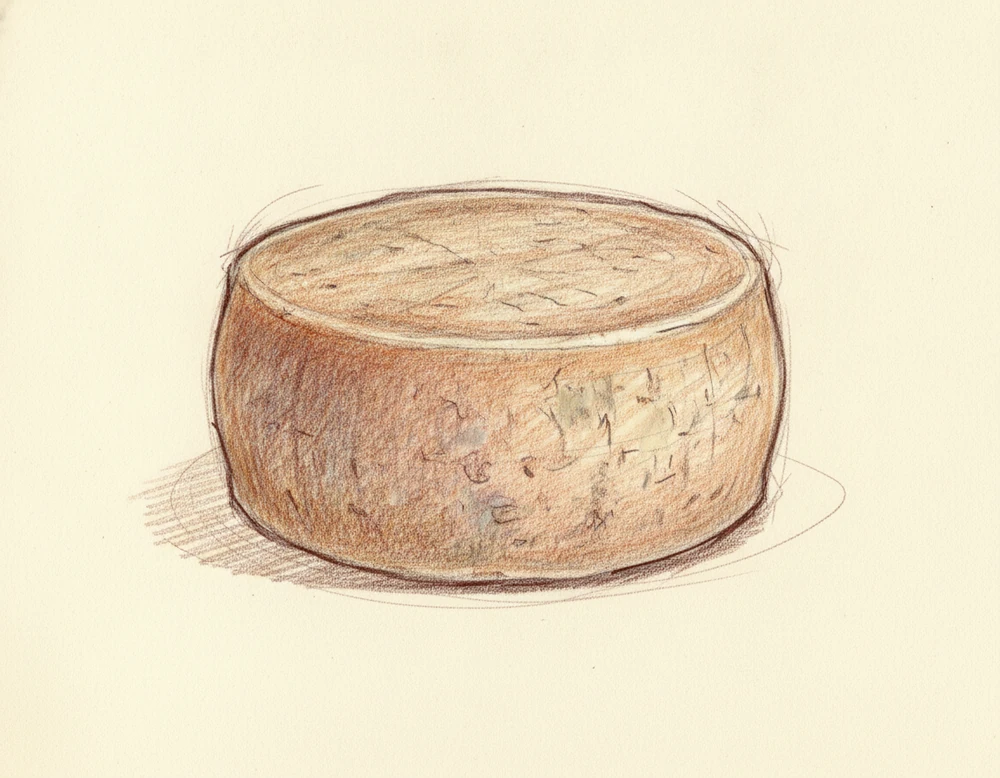 Pecorino Crotonese DOP
