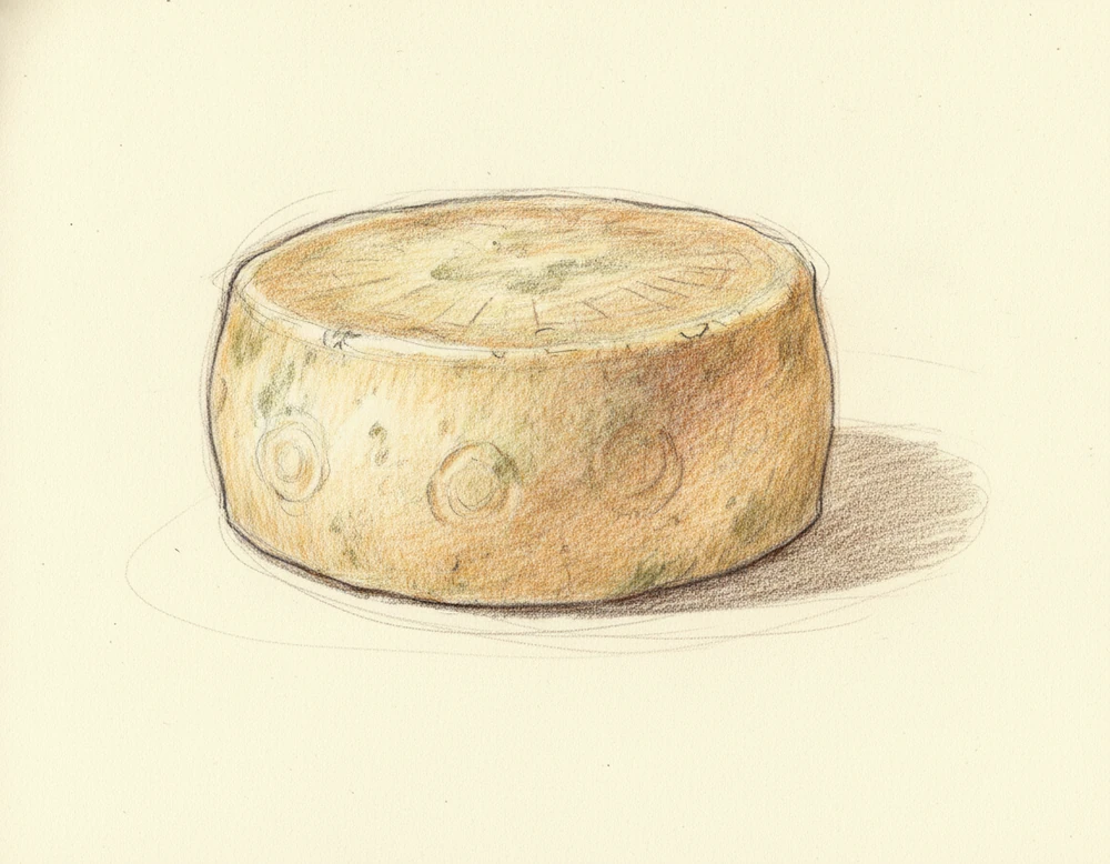 Pecorino del Monte Poro DOP
