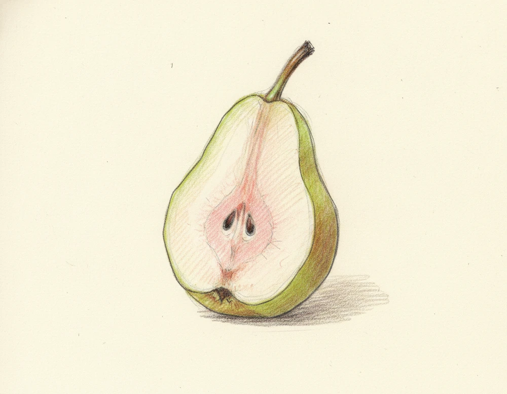 Pera Cocomerina