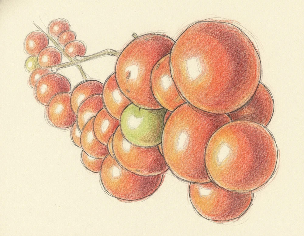 Pomodorino Seccagno di Zagarise