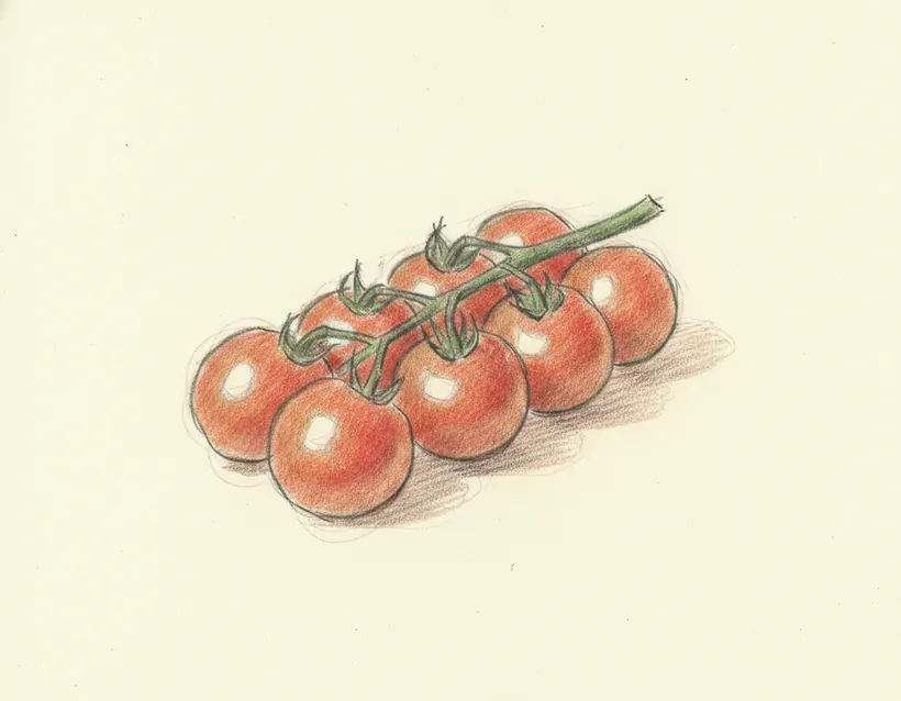 Pomodoro di Pachino IGP