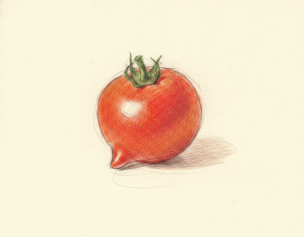 Pomodoro Pizzutello delle Valli Ericine