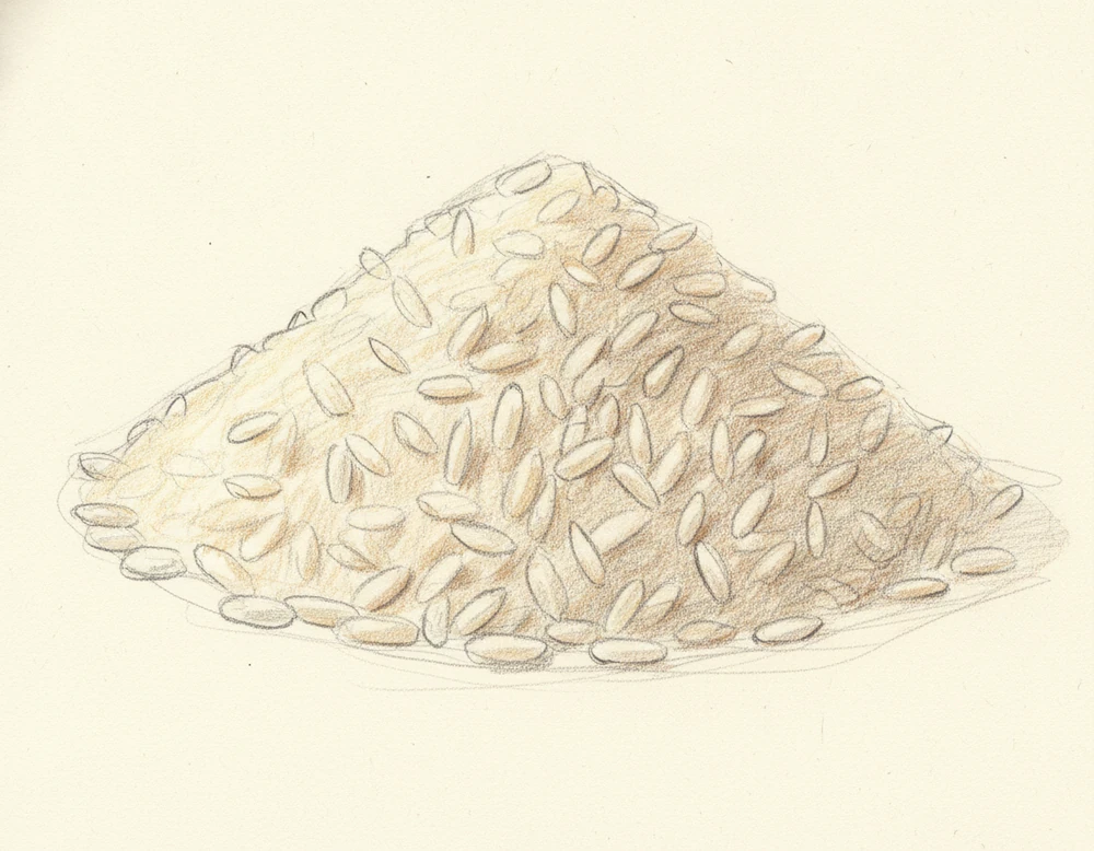 Riso di Grumolo delle Abbadesse